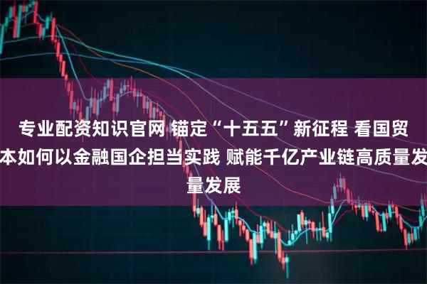专业配资知识官网 锚定“十五五”新征程 看国贸资本如何以金融国企担当实践 赋能千亿产业链高质量发展